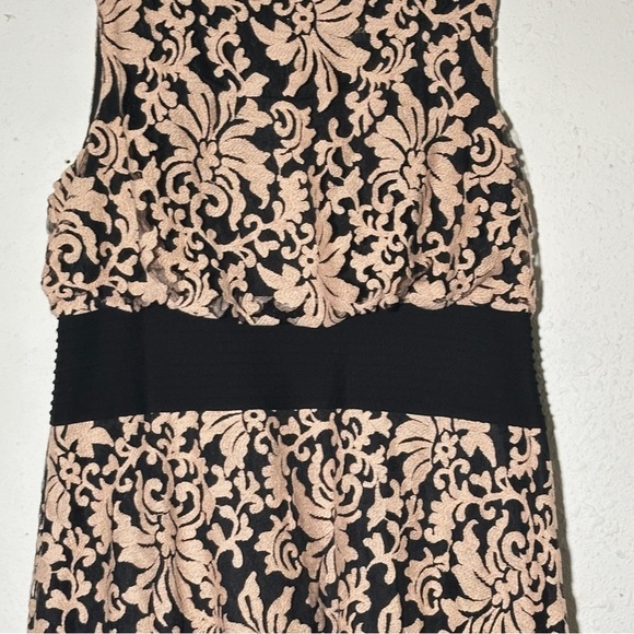 Tadashi Shoji Too Floral Lace Overlay Sleeveless Dress Size 20Q/2X Women - Picture 5 of 16